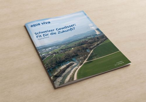 Schweizer Gewässer: Fit für die Zukunft? (3/2021)