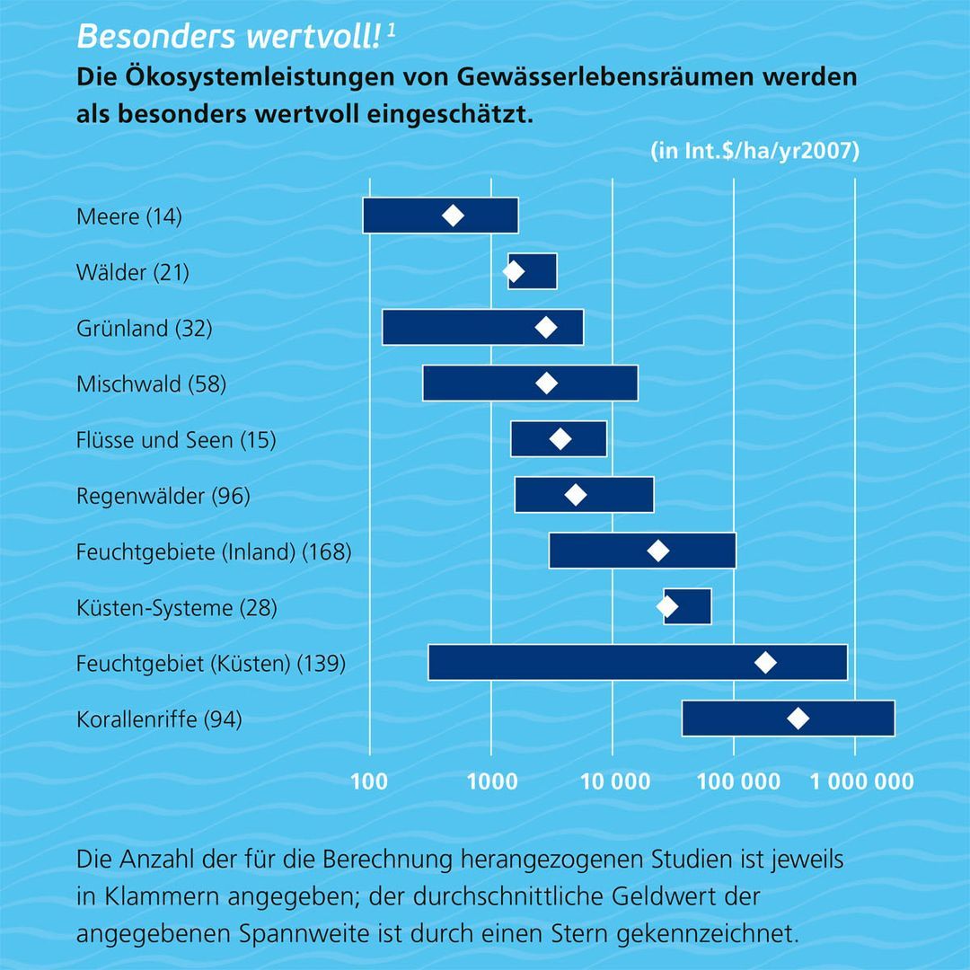 Graphik Pflanzliche Vielfalt von Gletschervorfeldern mit verschiedenen Pflanzengesellschaften